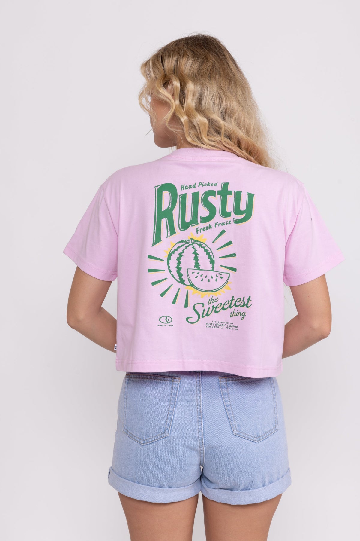 Rusty USA Sweetest Thing Relaxed Fit Crop Tee PINK DIAMOND